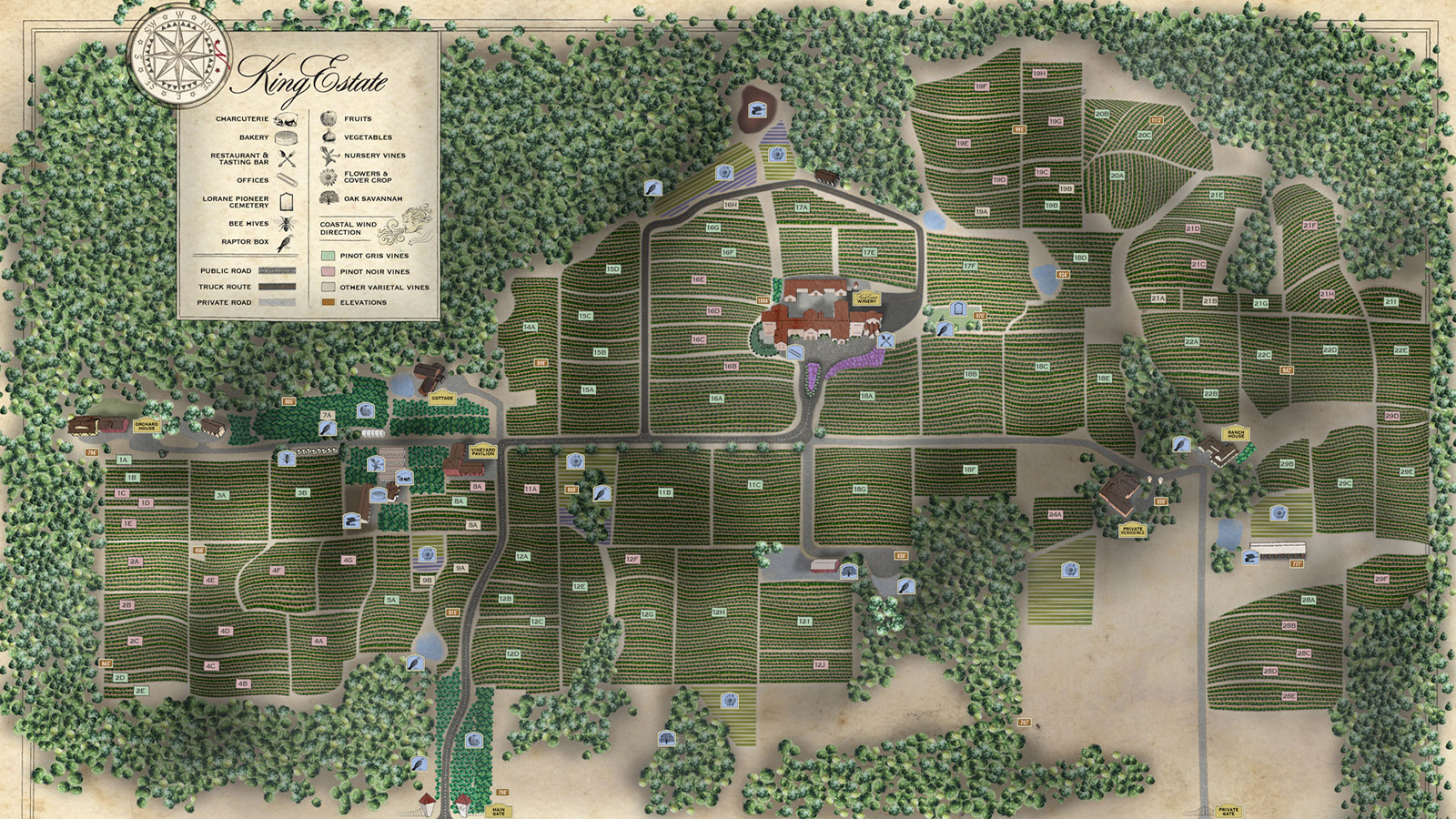 Illustrated aerial map of King Estate vineyard showing planted blocks, roads, forest and buildings