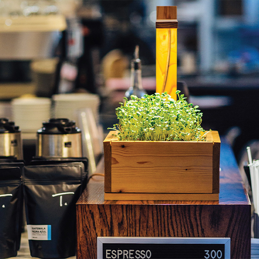 Wooden box of growing microgreens displayed on a cafe counter beside bagged coffee and an espresso sign
