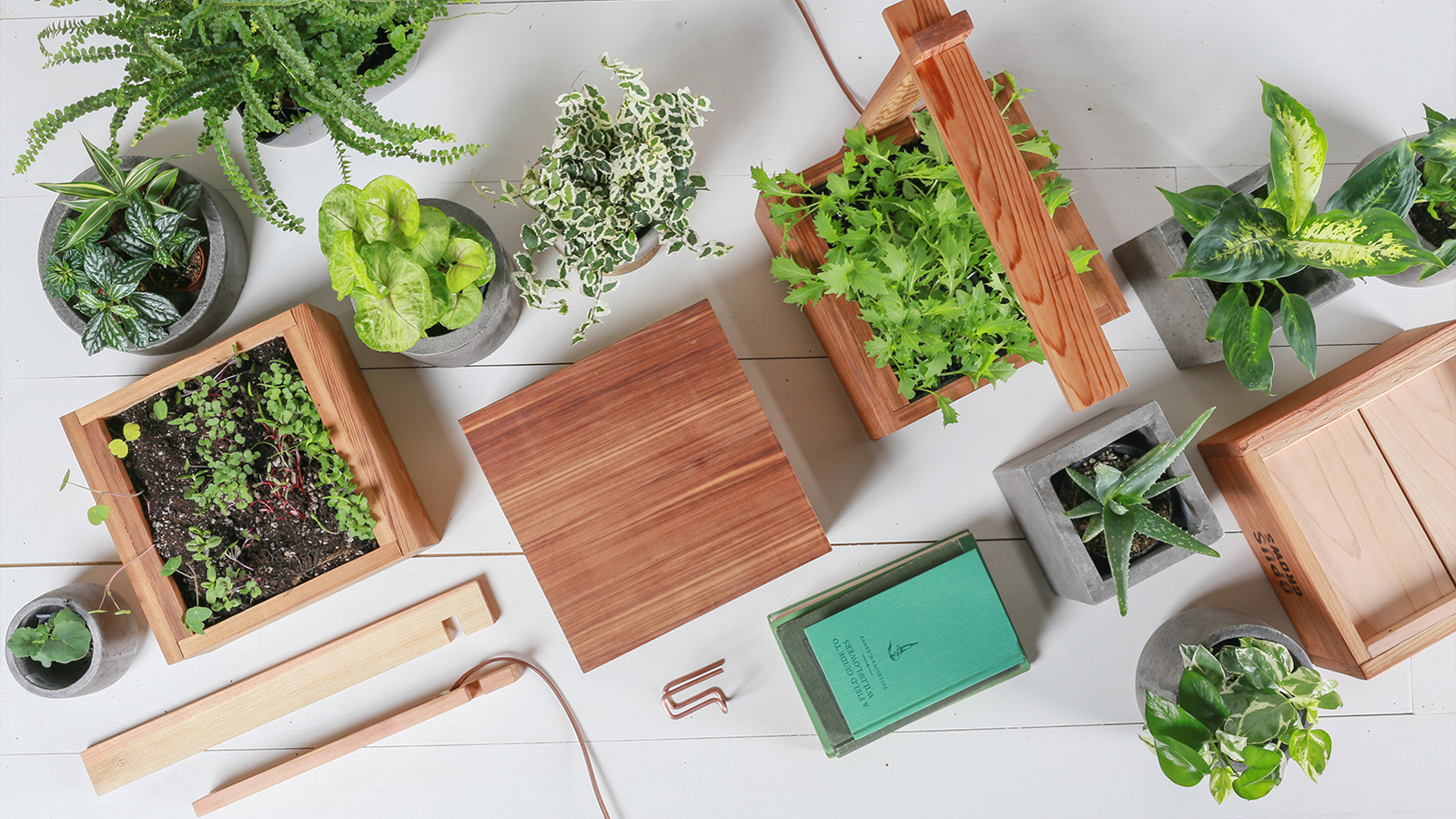 Overhead flat lay of wooden planter boxes, potted herbs and succulents on white wood