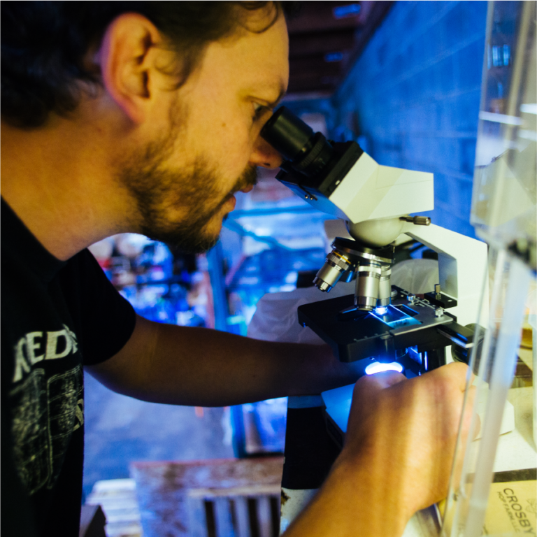 ColdFire brewer examining a sample through a microscope in the brewery lab