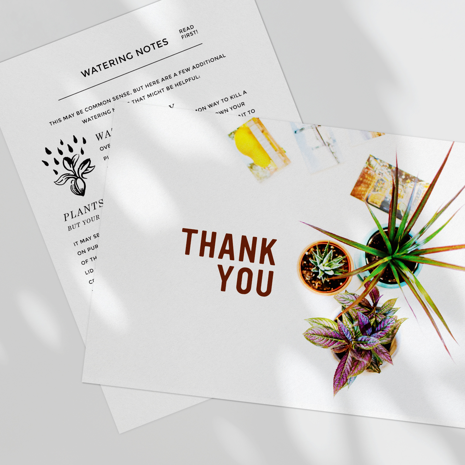Opus Grows "Thank You" card with potted plants beside a plant watering notes sheet