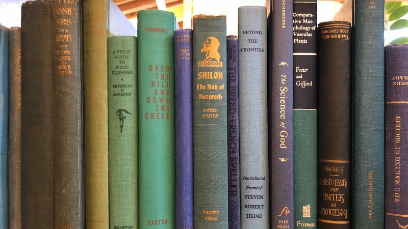 Row of vintage book spines including Shiloh, Beyond the Frontier, and The Science of God on a shelf