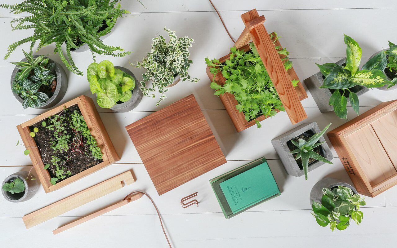 Overhead flat lay of potted plants and seedlings in wooden and concrete planters on a white surface
