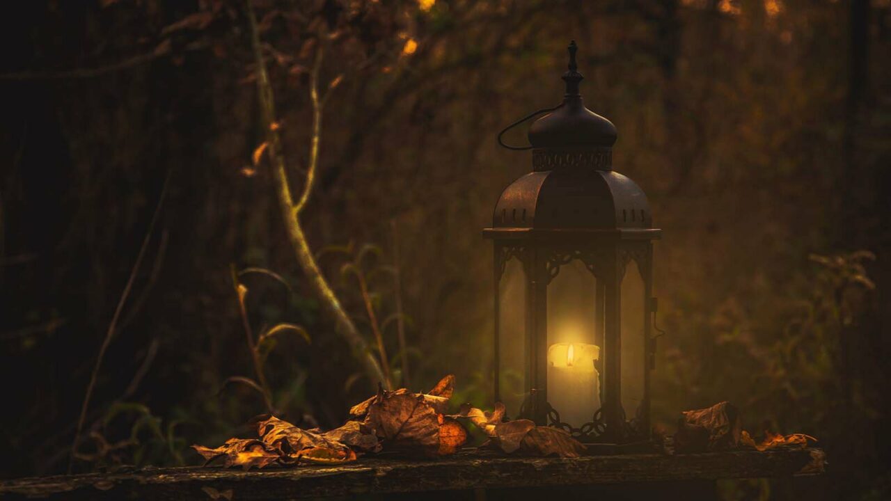 Glowing candle lantern among fallen autumn leaves in a dark moody forest