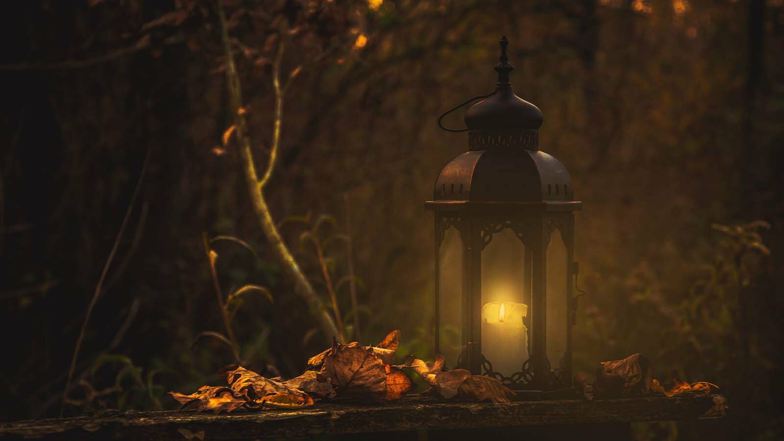 Glowing candle lantern among fallen autumn leaves in a dark moody forest