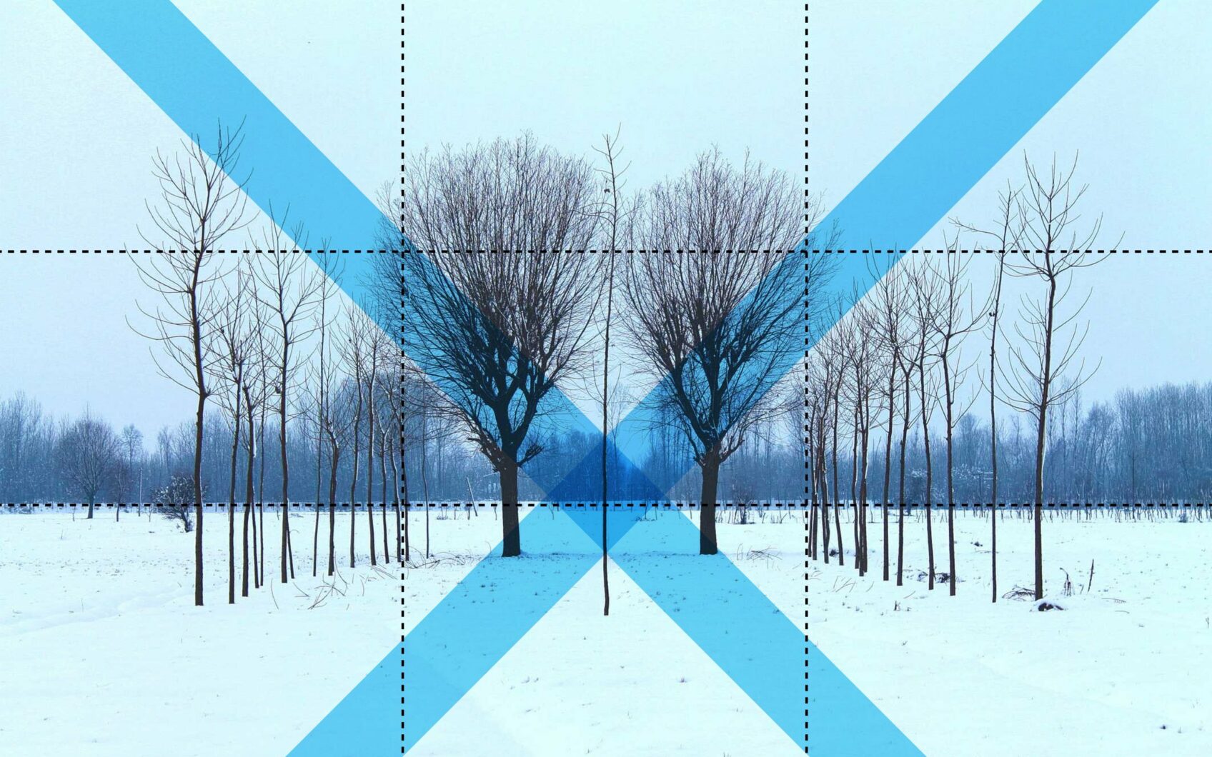 Mirror-symmetrical row of bare winter trees on snow with a blue X overlay, illustrating symmetry