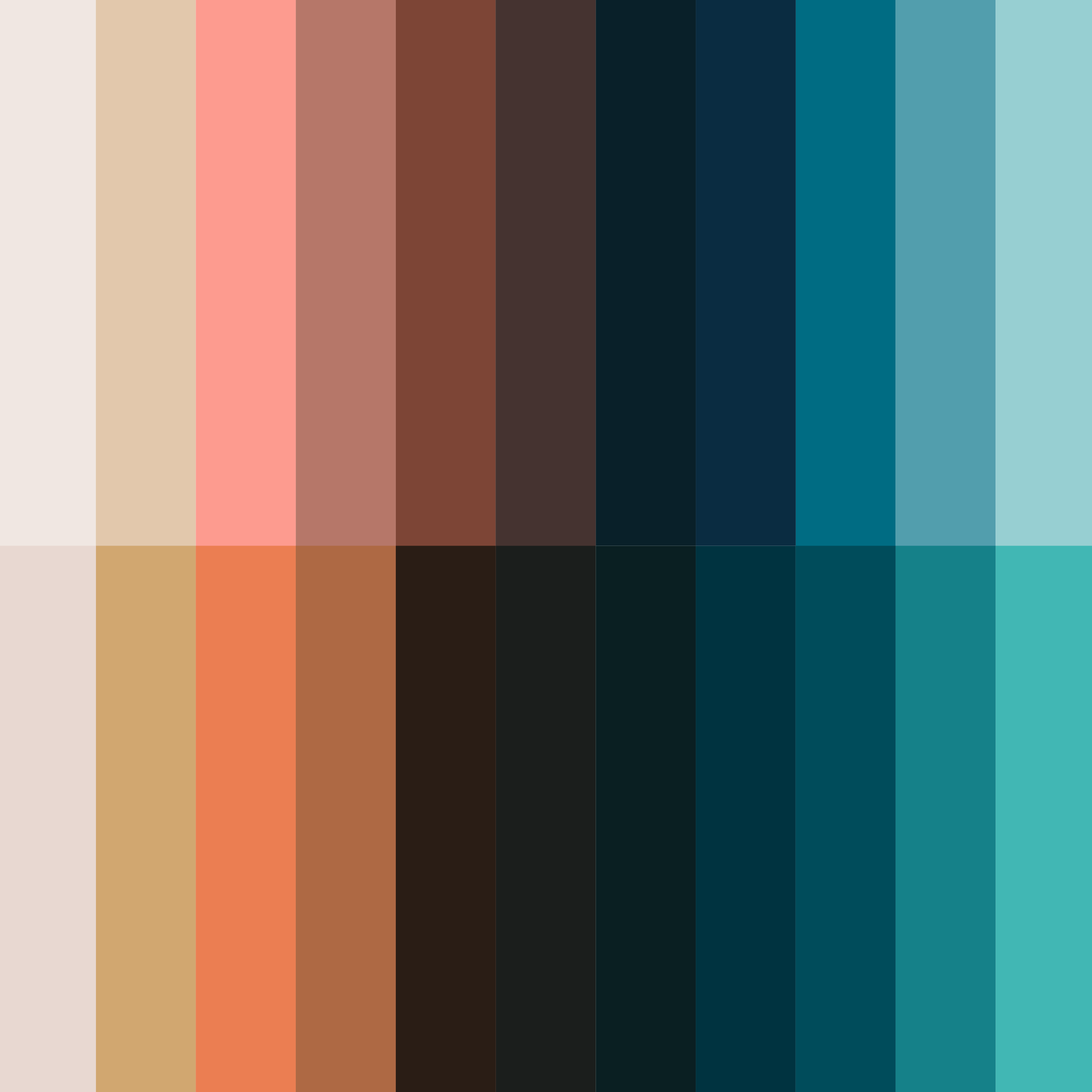 Honeycomb brand color palette of vertical stripes from cream and terracotta to teal