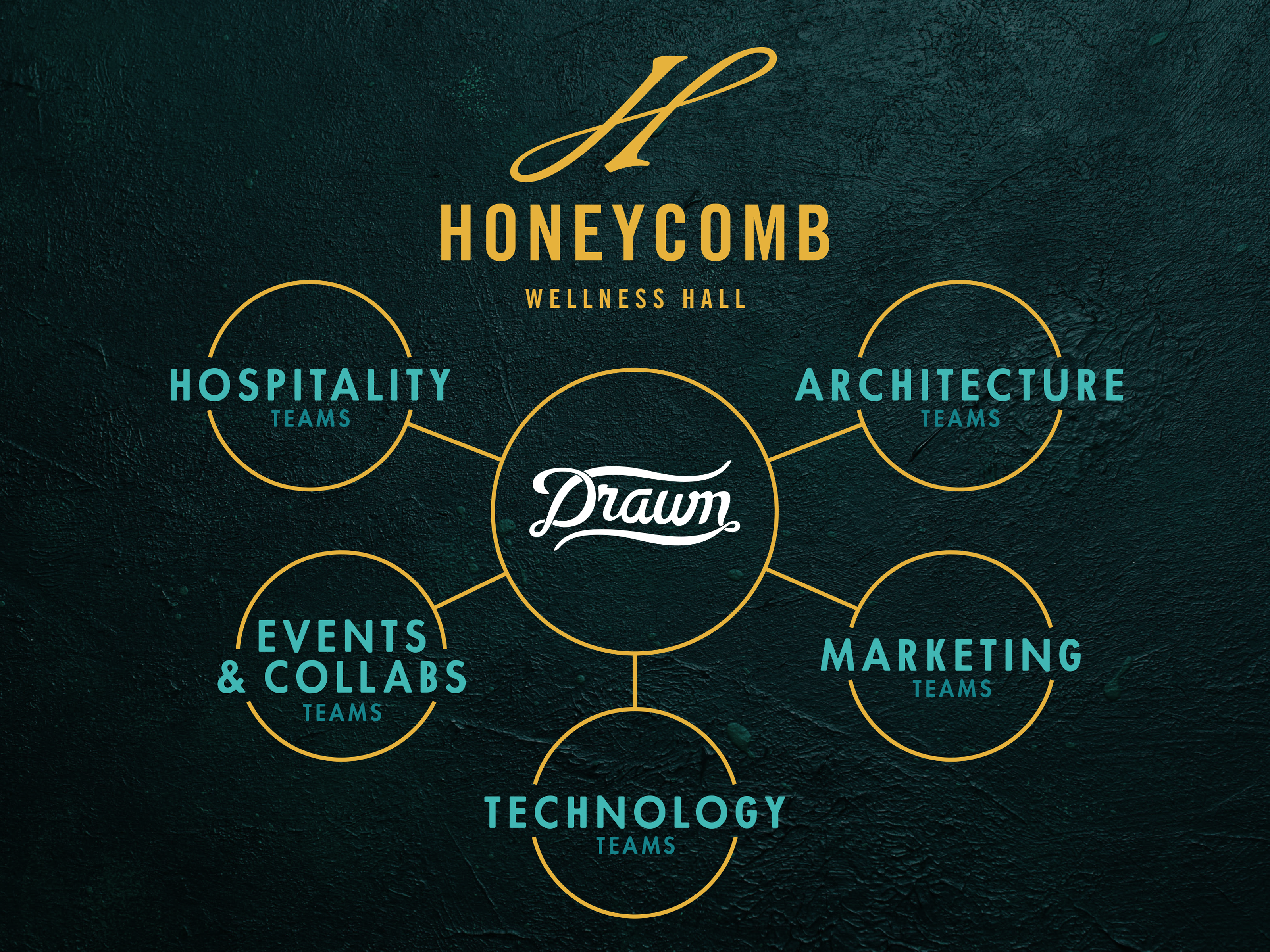 Honeycomb Wellness Hall team diagram with Drawn at center linking six discipline teams