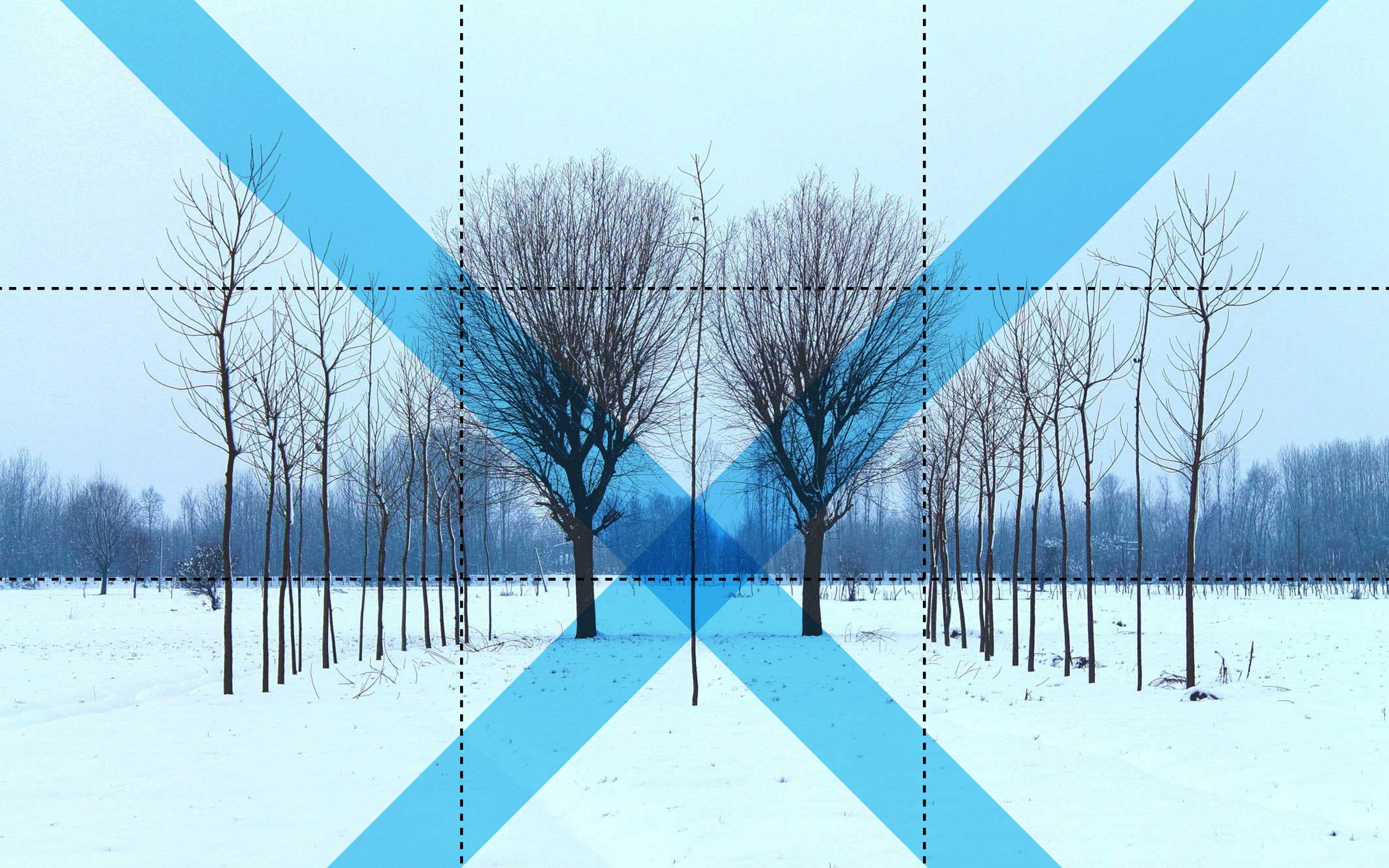 Mirror-symmetrical row of bare winter trees on snow with a blue X overlay, illustrating symmetry