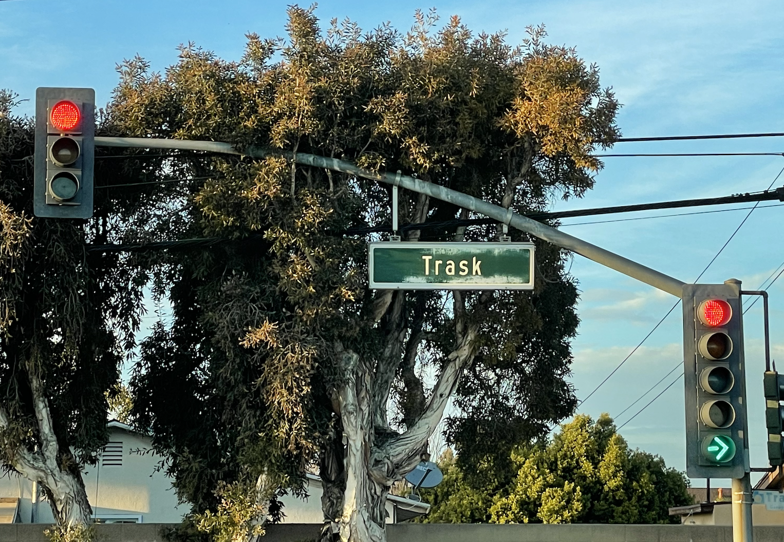 Green Trask street sign under red traffic signals beside a eucalyptus tree